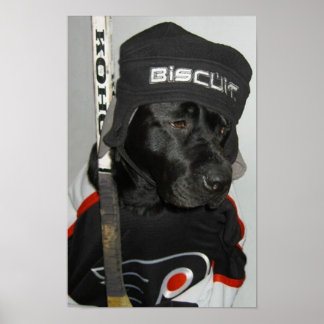 Poster do Black Biscuit Flyers