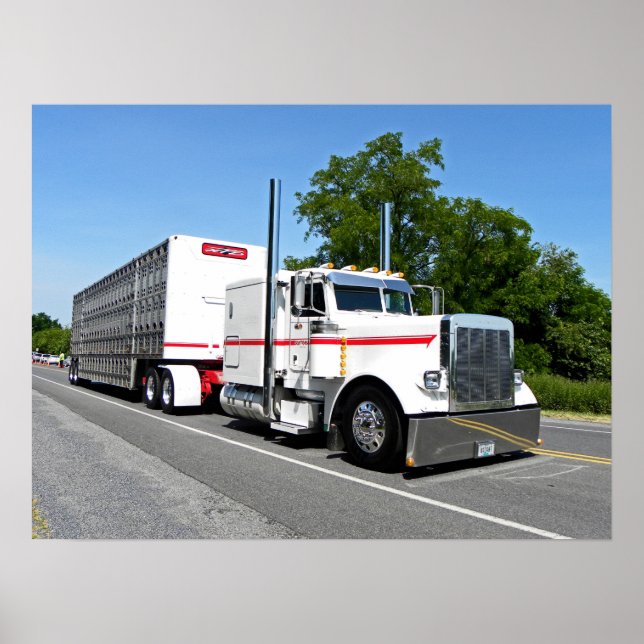 Poster do Bontrager 379 (Frente)