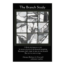 Poster do Branch Study