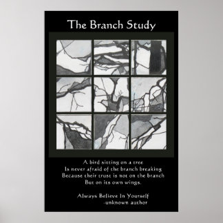 Poster do Branch Study