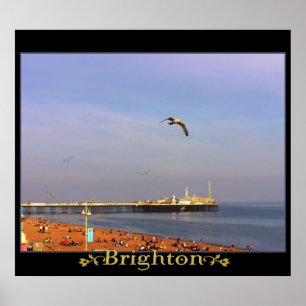 Poster do Brighton Views (UK)