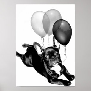 Poster do buldogue francês do aniversário