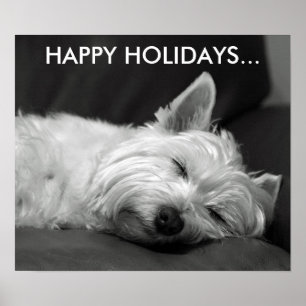 Poster do Cachorro Terrier West Highland