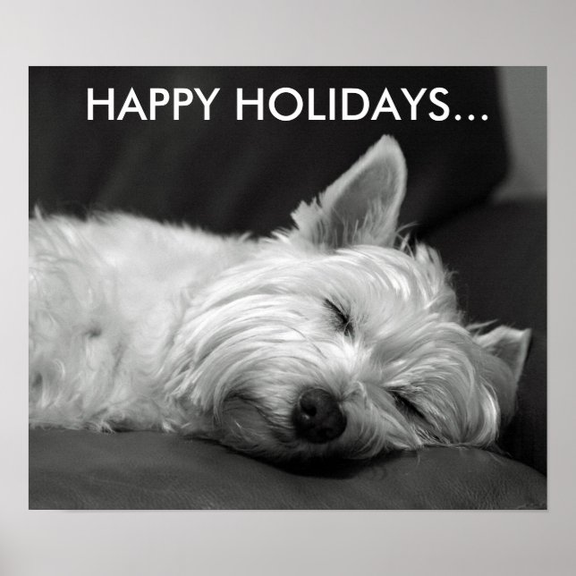 Poster do Cachorro Terrier West Highland (Frente)