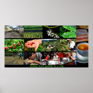 Poster do café