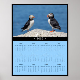 poster do Calendário 2025 Atlantic Puffin no Maine