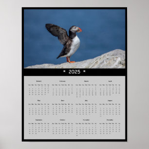 poster do Calendário 2025 Atlantic Puffin no Maine