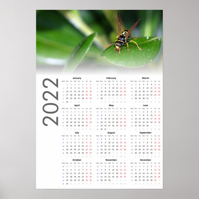 Poster do Calendário Wasp 2022 - Início da segunda (Frente)