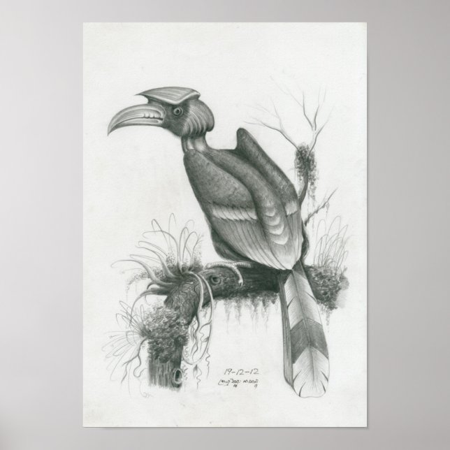 Poster do cambojano Hornbill Bird por Vannak Prum (Frente)
