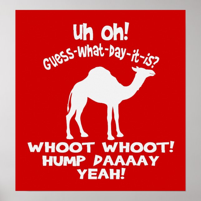 Poster do Camelo Hump Day (Frente)