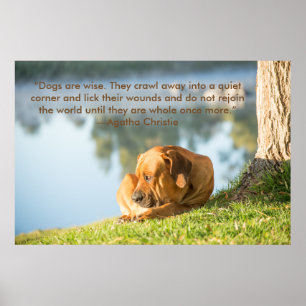 Poster do cão de Boerboel com citações inspirad