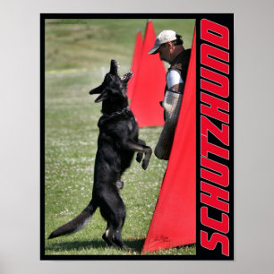 Poster do cão de german shepherd de Schutzhund