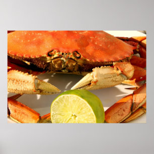Poster do caranguejo de Dungeness