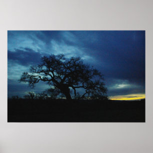 Poster do carvalho no por do sol