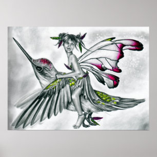 Poster do cavaleiro do colibri