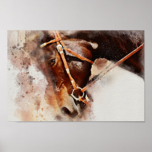 Poster do cavalo da aguarela
