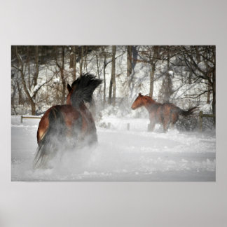 Poster do Cavalo de Chase de inverno