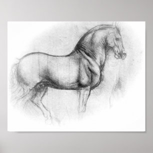 Poster do cavalo de Leonardo da Vinci