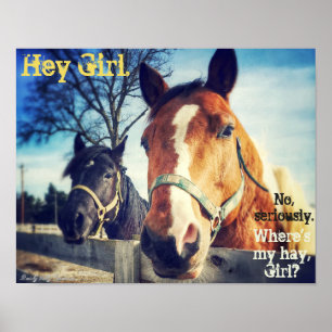 Poster do cavalo: "Hey menina. "