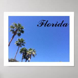 Poster do céu azul de Florida