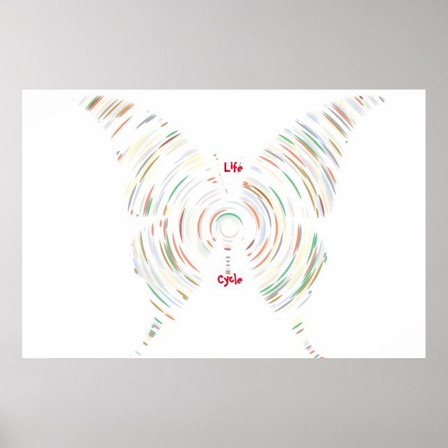 Poster do ciclo de vida (Frente)