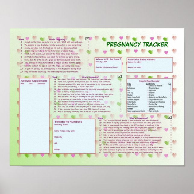 Poster do Controlador de Gravidez (Frente)