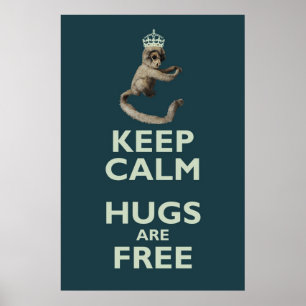 poster do Copernicus--homicida-macaco