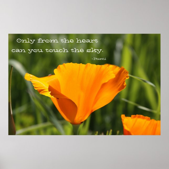 Póster Do Coração (Frente)