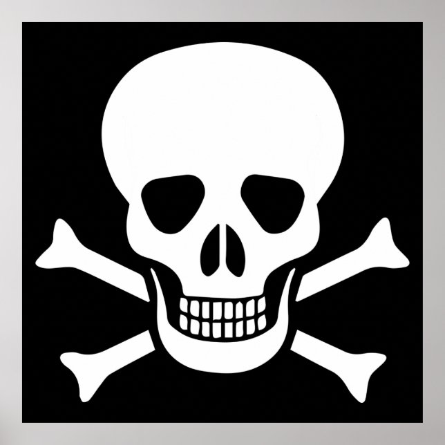 Poster do crânio humano (Frente)