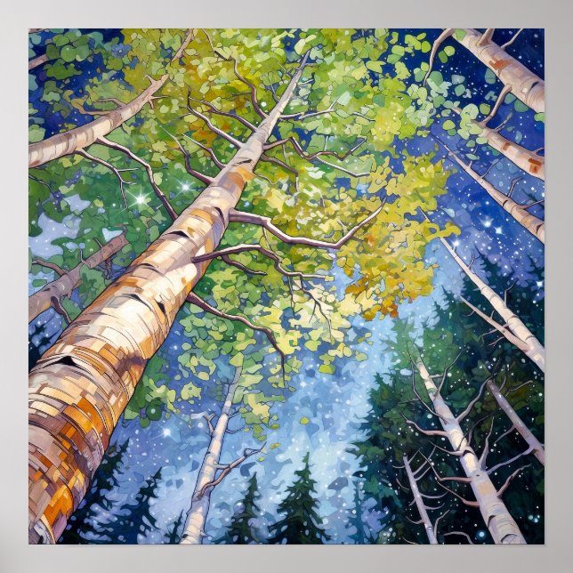 Poster do Declive da Paisagem da Noite (Frente)