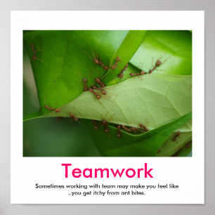 Poster do demotivational dos TRABALHOS EM EQUIPE
