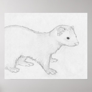 Poster do desenho da doninha de "Theo"