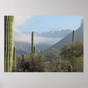 Poster do deserto de Tucson