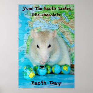 Poster do Dia da Terra