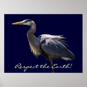 Poster do Dia da Terra da garça-real de grande