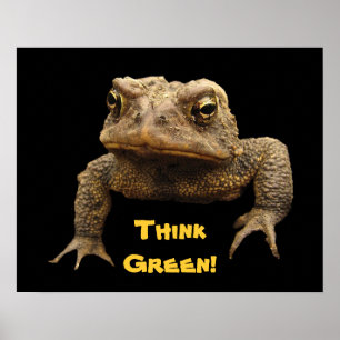 Poster do Dia da Terra do sapo americano