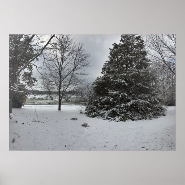 Poster do Dia de Inverno Frio Snowy (Frente)