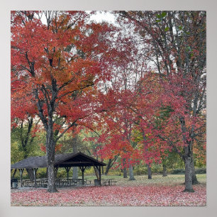 Poster do Dia do Parque de outono