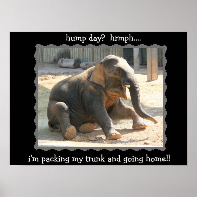 Poster do Dia Hump do Elefante Engraçado (hrmph!!) (Frente)