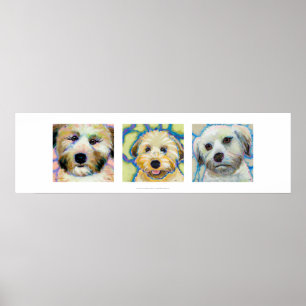 Poster Do divertimento Wheaten de três arte bonito do c
