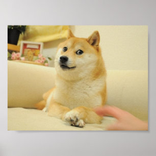 Poster do Doge