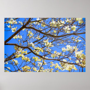 poster do dogwood