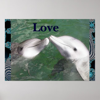 Poster do Dolphin Love