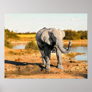 Poster do elefante africano