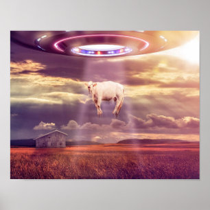 Poster do encontro abducção da vaca do UFO da "