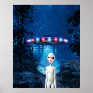 Poster do encontro do fim do UFO da floresta
