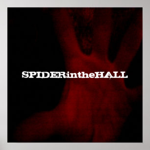 Poster do esquecimento de SPIDERintheHALL