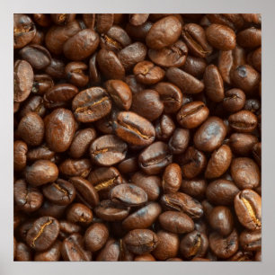 Poster do feijão de café