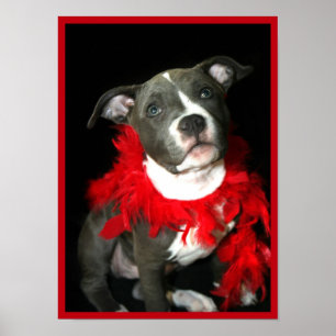 Poster do filhote de cachorro de Pitbull
