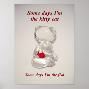 Poster do gatinho e dos peixes